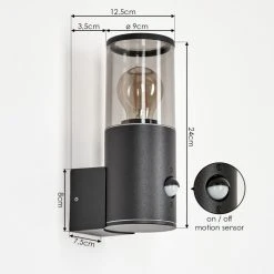 Hofstein Caragua Au&szlig;enwandleuchte Anthrazit, 1-flammig, Bewegungsmelder -Außenleuchten Verkaufe caragua aussenwandleuchte h3612613 3