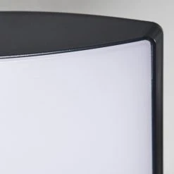 Hofstein Larvik Au&szlig;enwandleuchte LED Anthrazit, 1-flammig, Bewegungsmelder -Außenleuchten Verkaufe larvik aussenwandleuchte h3303931 do1 19