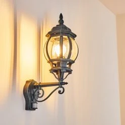 Hofstein Lentua Au&szlig;enwandleuchte Schwarz, Gr&uuml;n, 1-flammig, Bewegungsmelder -Außenleuchten Verkaufe lentua aussenwandleuchte h3012451 do2 17