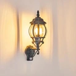 Hofstein Lentua Au&szlig;enwandleuchte Schwarz, Gr&uuml;n, 1-flammig, Bewegungsmelder -Außenleuchten Verkaufe lentua aussenwandleuchte h3012451 do2 20