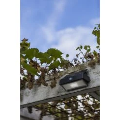 Lutec Lampen Lutec ARROW Solar-Au&szlig;enwandleuchte LED Anthrazit, 1-flammig, Bewegungsmelder -Außenleuchten Verkaufe lutec arrow solar aussenwandleuchte 6910601335 do1 2