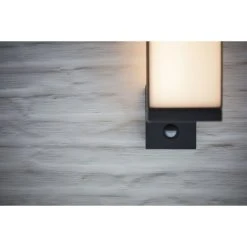 Lutec Lampen Lutec Cuba Au&szlig;enwandleuchte LED Anthrazit, 1-flammig, Bewegungsmelder -Außenleuchten Verkaufe lutec cuba aussenwandleuchte 5193811118 4