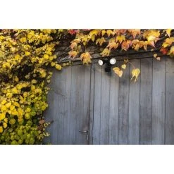 Lutec Lampen DRACO Au&szlig;enwandleuchte LED Schwarz, 1-flammig, Bewegungsmelder -Außenleuchten Verkaufe lutec lampen draco aussenwandleuchte 7622220012 2