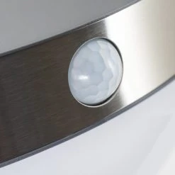 Hofstein Pori Aussenwandleuchte Solar LED Chrom, 1-flammig, Bewegungsmelder -Außenleuchten Verkaufe pori aussenwandleuchte solar h3023600 6